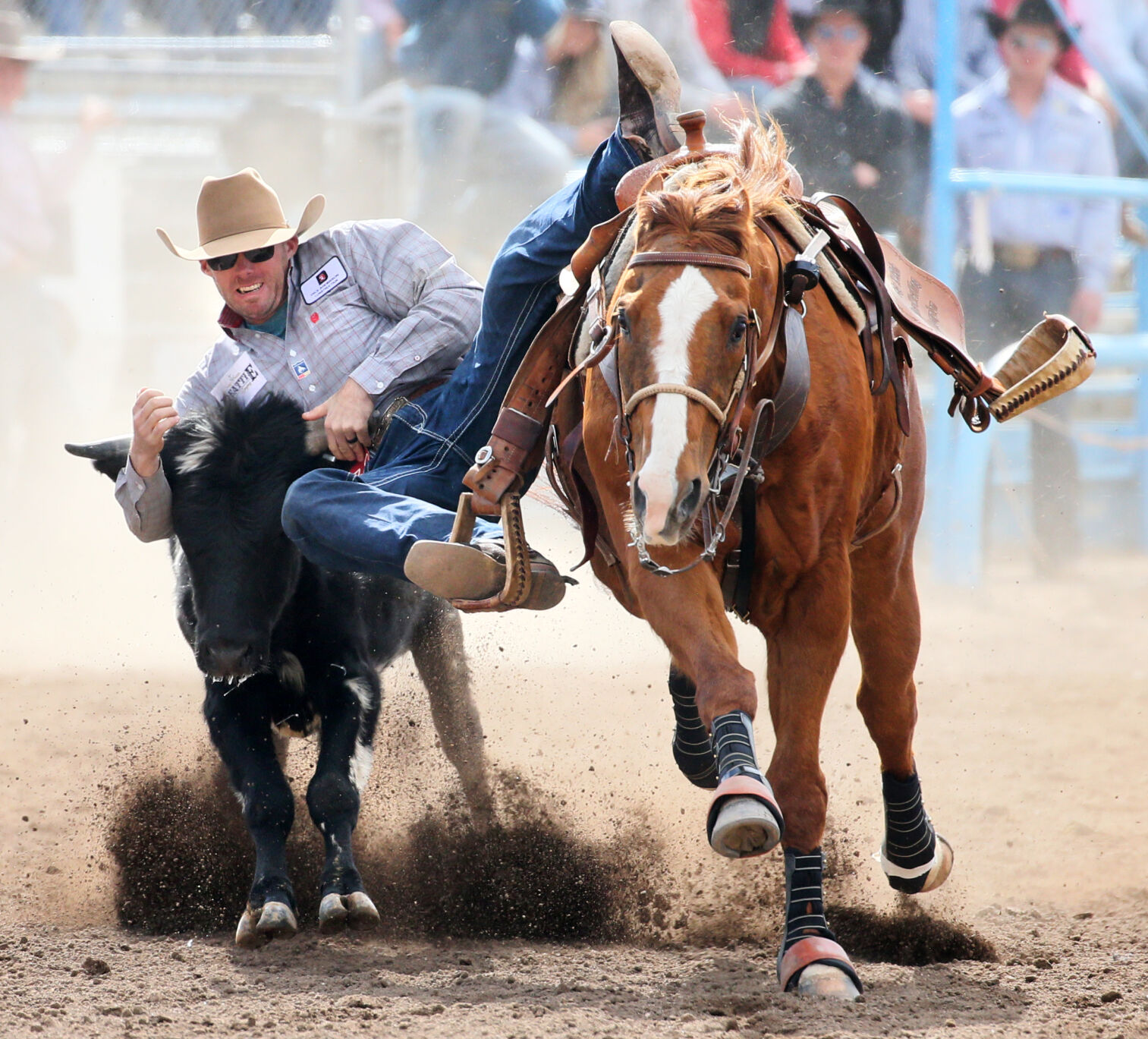 Fiesta de los Vaqueros Tucson Rodeo